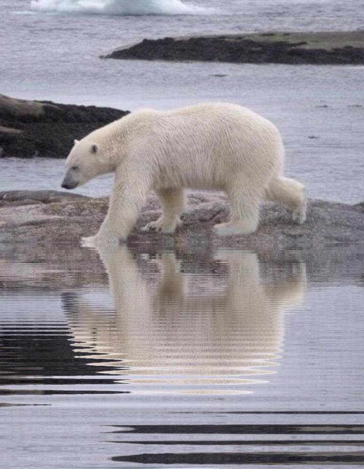 29609_466969100031031_1607858573_n