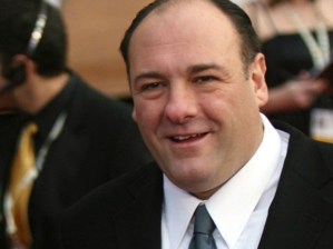 james-gandolfini-e13717040336062