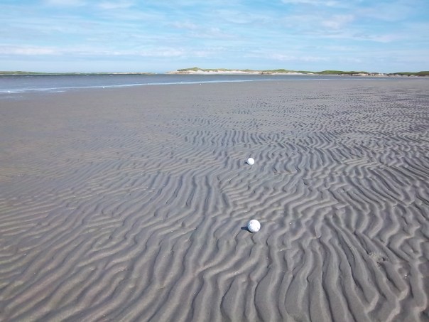 I love the sand ripples