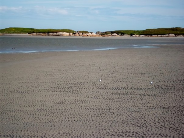 This is the sandbar they were aiming for.