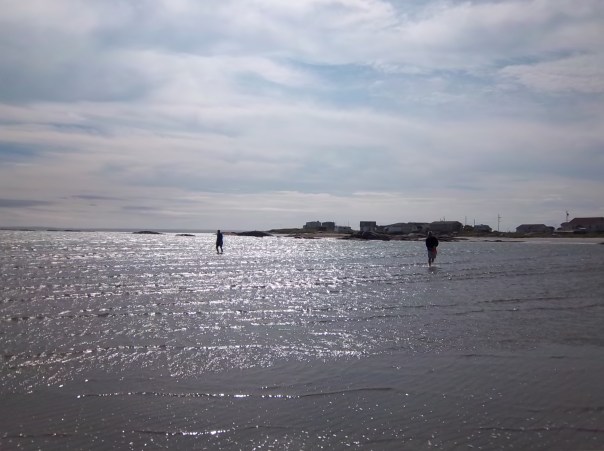 Balls that didn't hit the sandbar are easily found because the water is shallow.