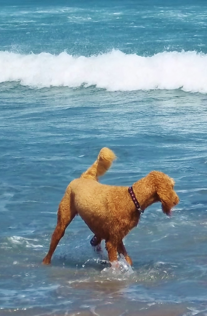 Nico loved his newfound freedom