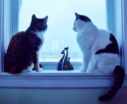 We're so blue without you.