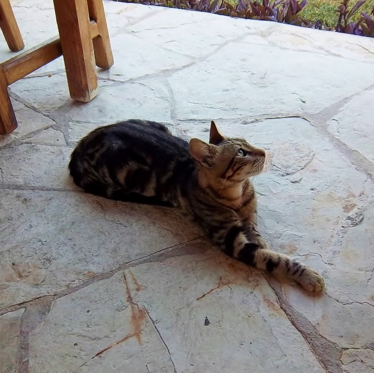 Staring at my husband in quiet awe