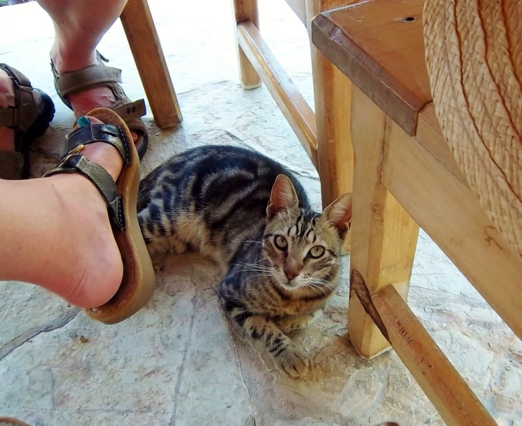 Pose pretty for the camera