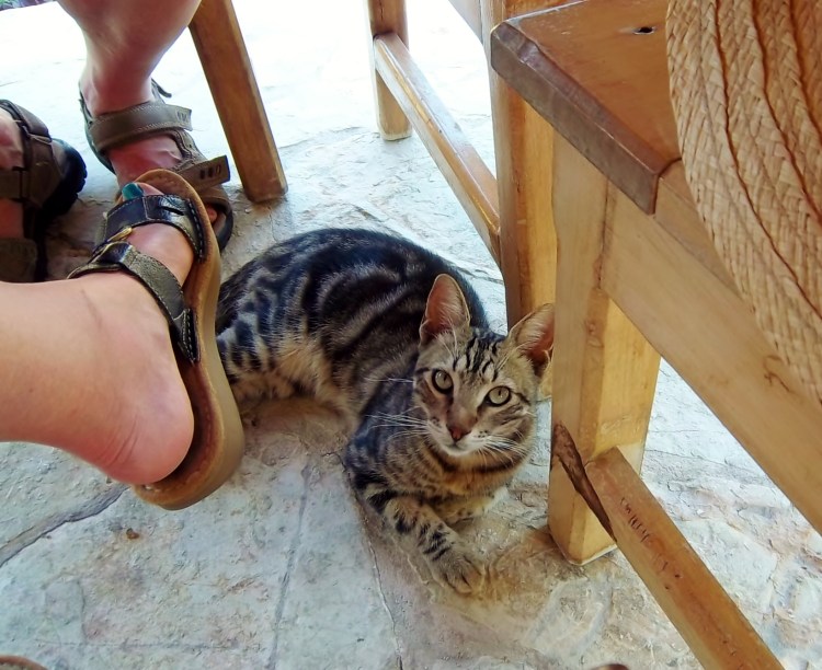 Pose pretty for the camera