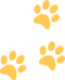 gold-paw-th