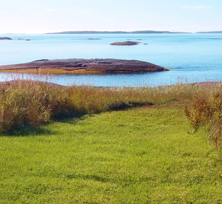 View from the back door.