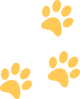gold-paw-th
