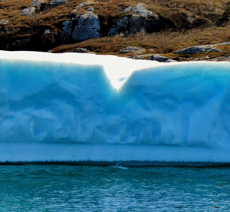 may 2015 040 (1280x1180)