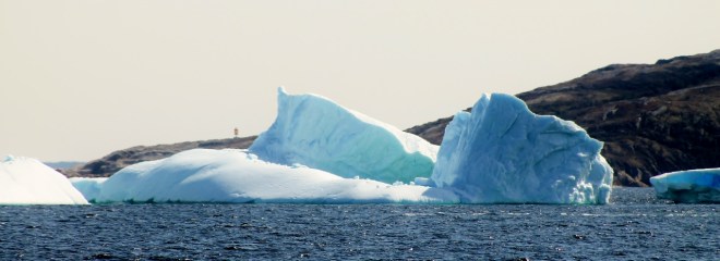 may 2015 053 (1280x466)