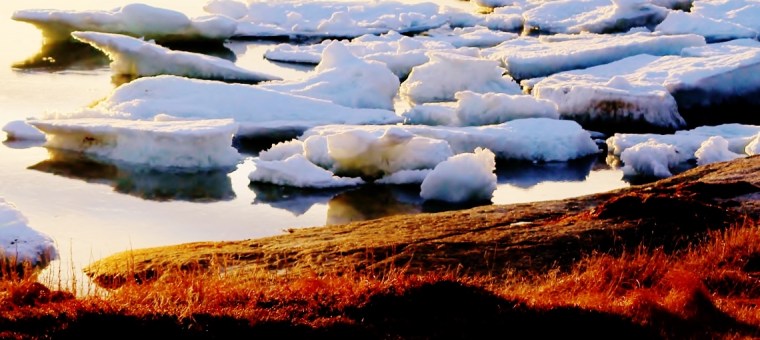 Spring Thaw, Newtown, NL