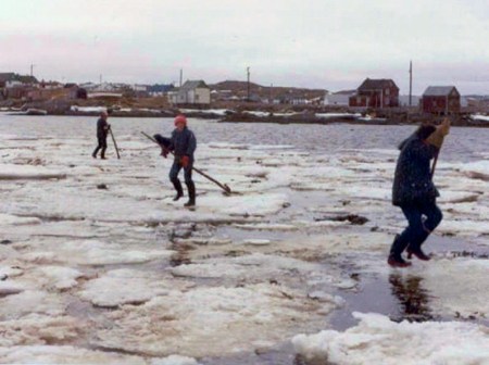 581875_10152657648105092_212814178_n (1)