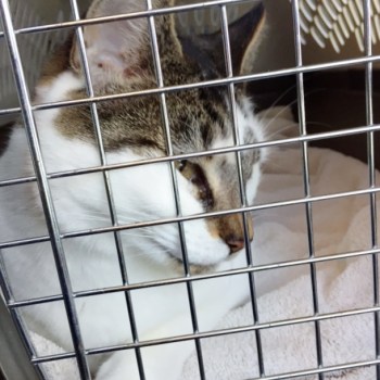 I was a really good girl!