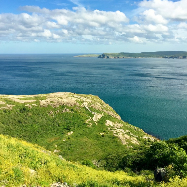 View from Signal Hill