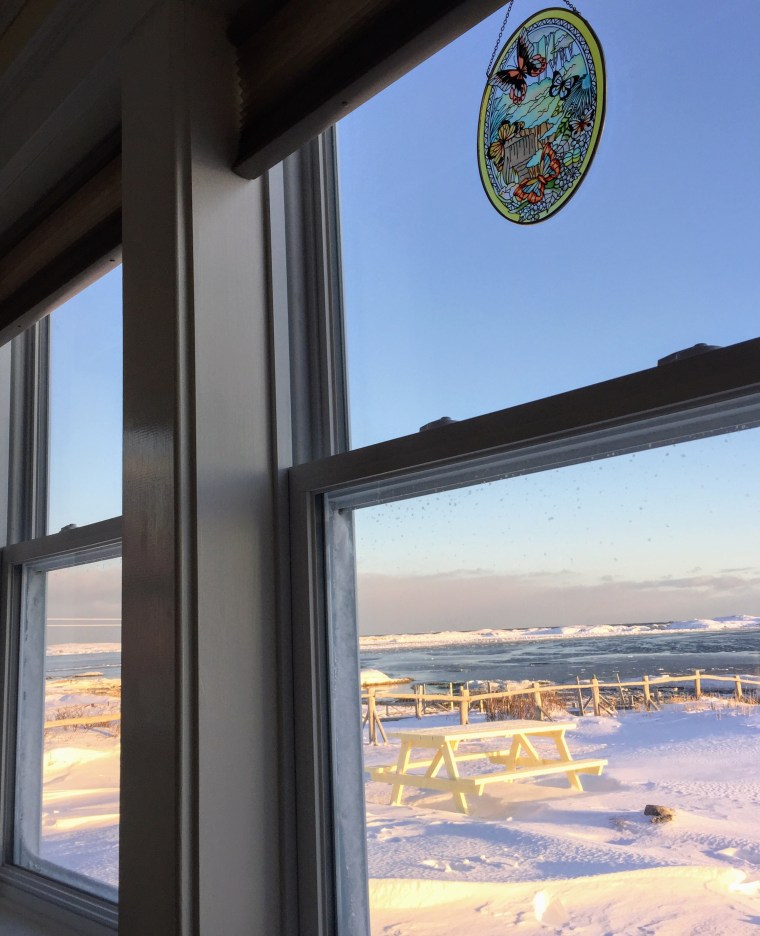 Newtown in Winter 2020