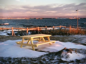 picnic table in a winter garden
