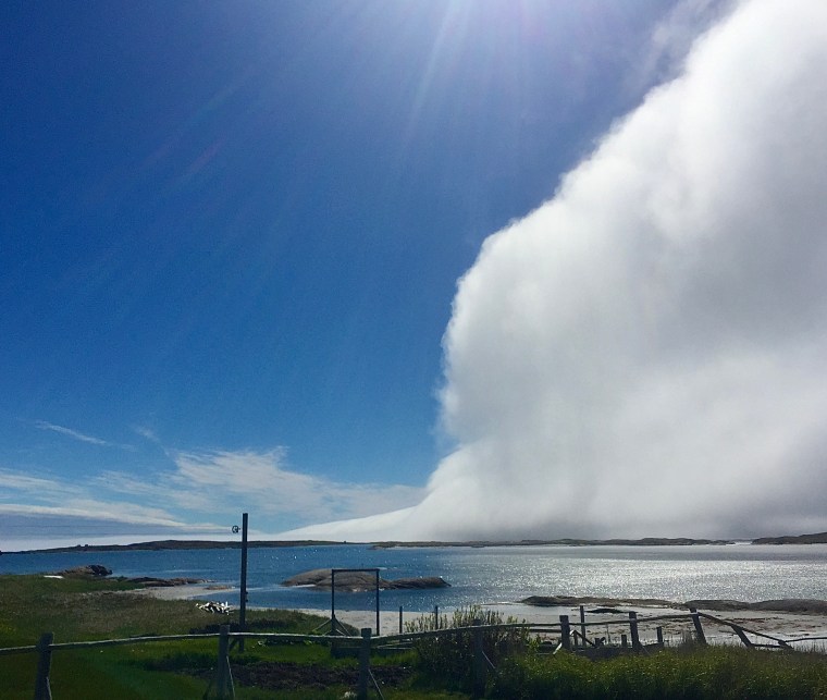 Fog bank in Newtown NL